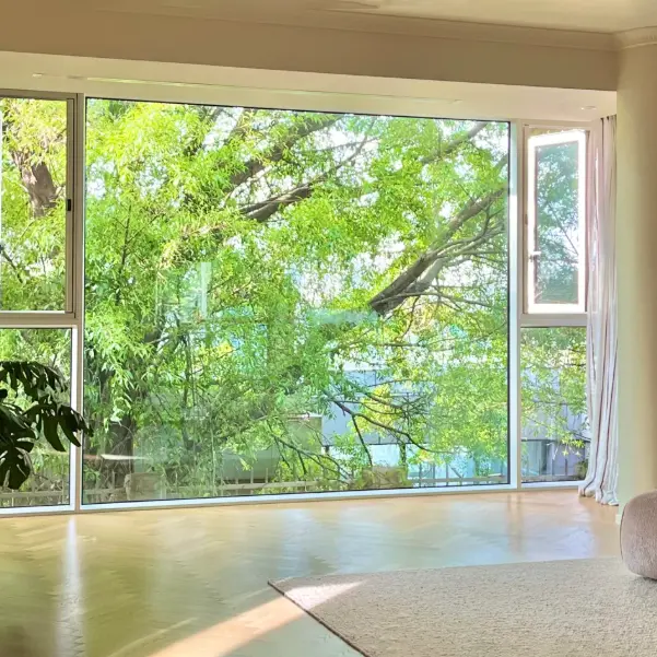 ວິນໂດອາລູມີນຽມ Alloy ພື້ນເຖິງເພດານ